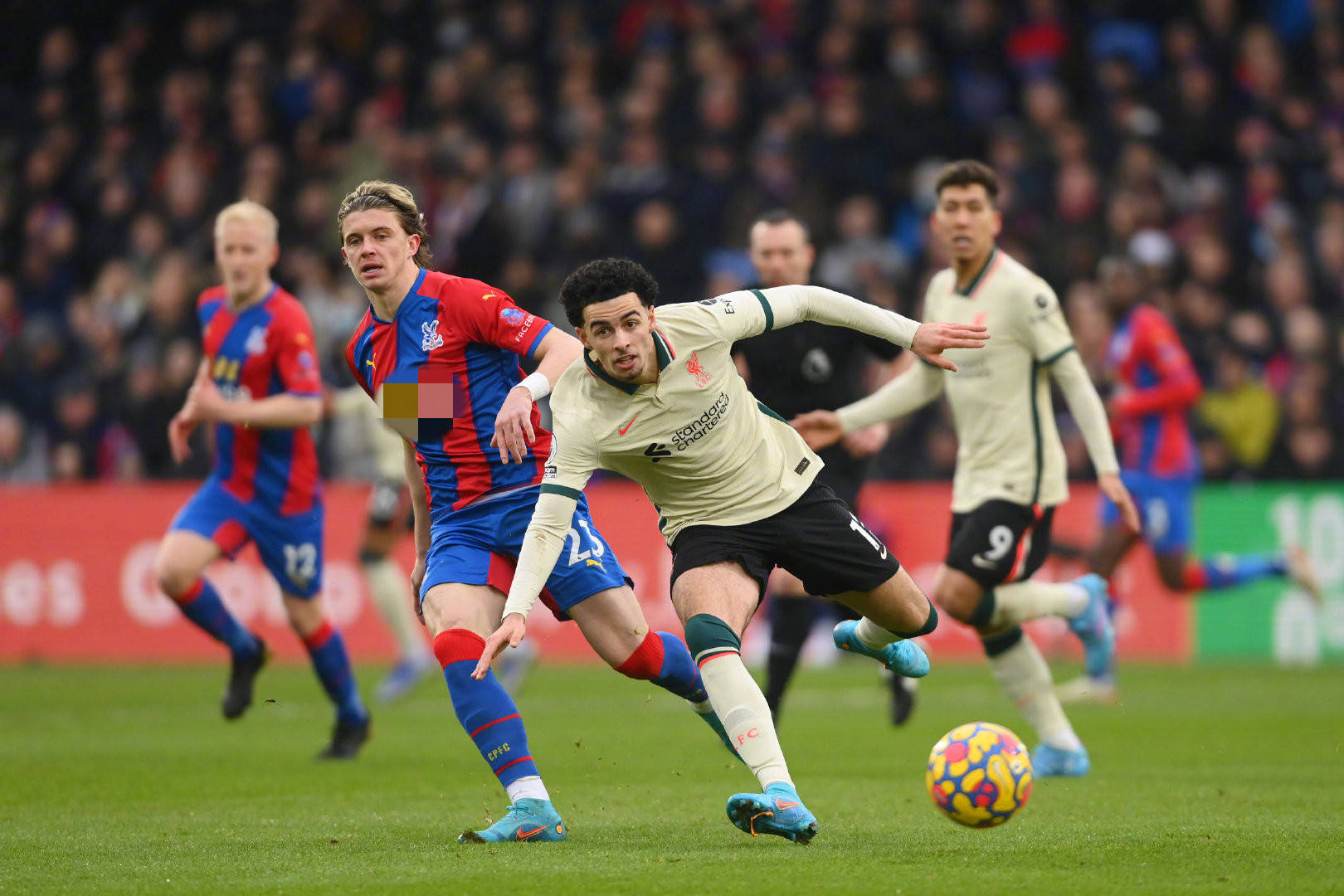 兴趣导向 兴趣导向